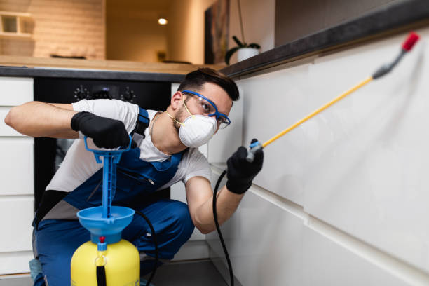 Best Affordable Pest Control Services  in Waretown, NJ
