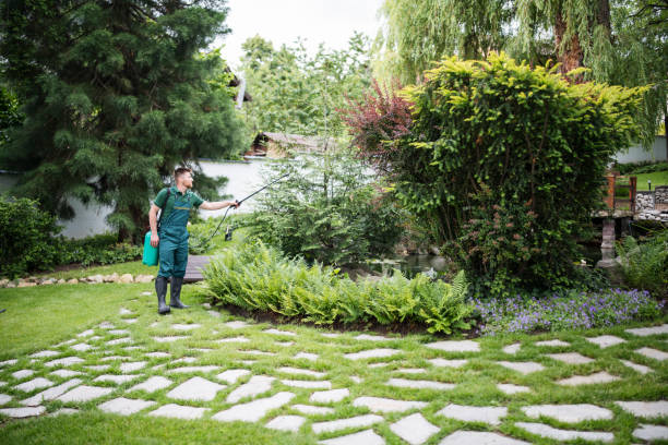 Best Pest Control for Homes  in Waretown, NJ