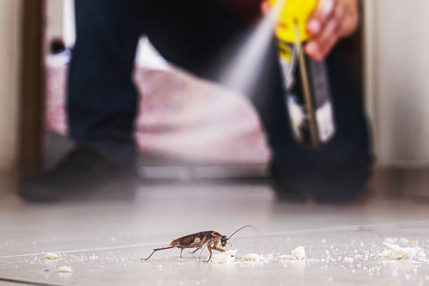 Best Commercial Pest Control Services  in Waretown, NJ